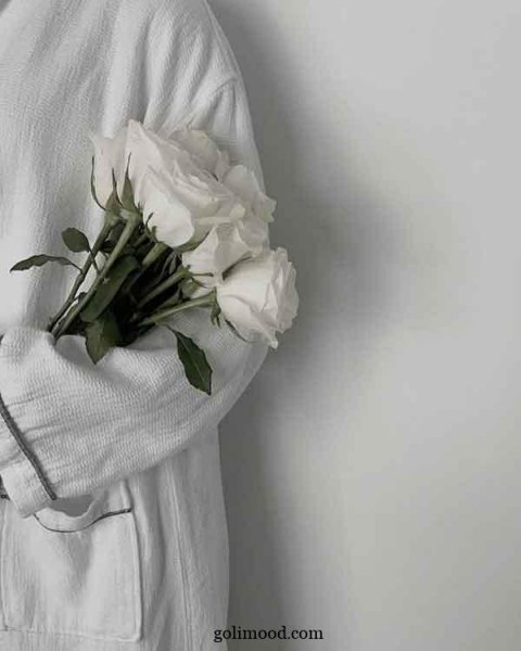  عکس گل برای پروفایل اینستاگرام