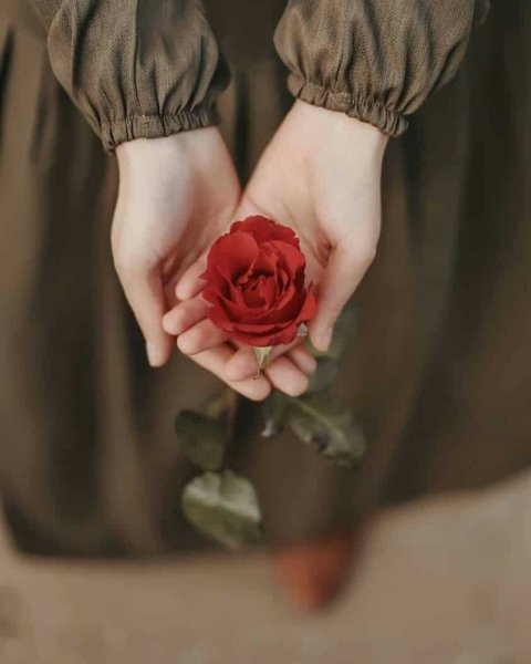  عکس دختر با گل