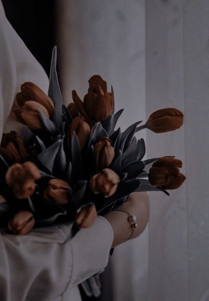  عکس دختر با گل