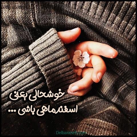  عکس پروفایل اسفند ماهی جدید