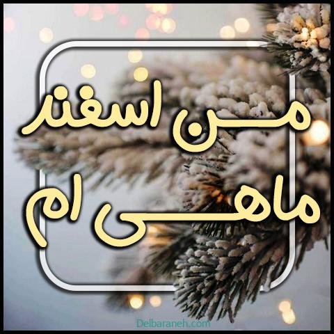  عکس پروفایل اسفند ماهی جدید