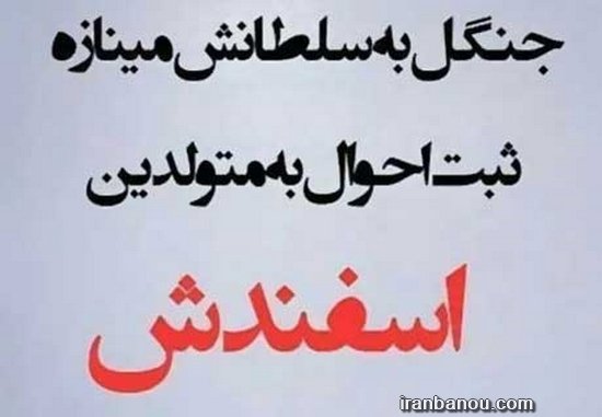 عکس اسفند ماه