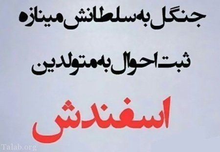 عکس اسفند ماه