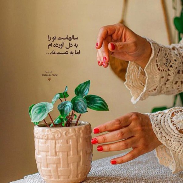 عکس پروفایل جدید خاص برای واتساپ
