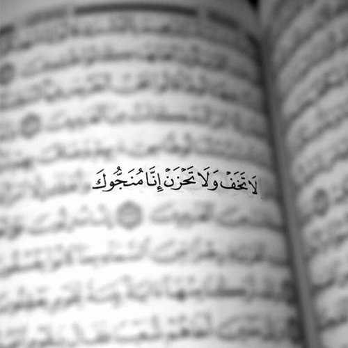  عکس پروفایل ساده و جدید