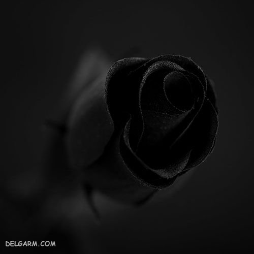 عکس پروفایل سیاه و سفید غمگین