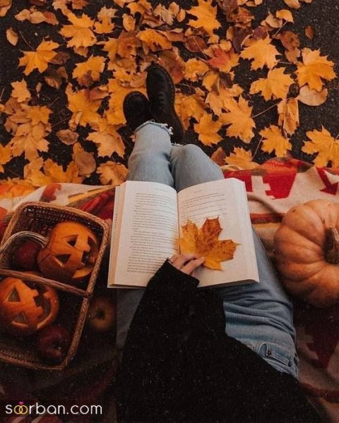 عکس کتاب برای پروفایل واتساپ