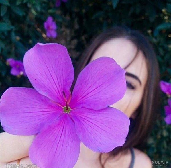 عکس بنفش کیوت ساده