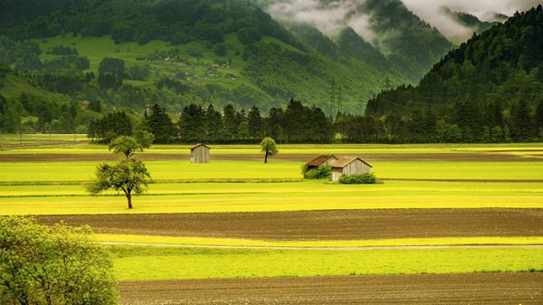  عکس طبیعت خاص و متفاوت