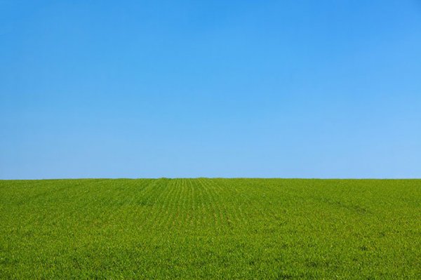  عکس طبیعت خاص و متفاوت