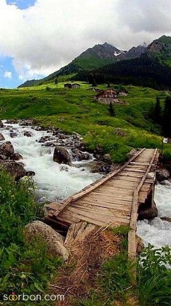  عکس منظره هنری