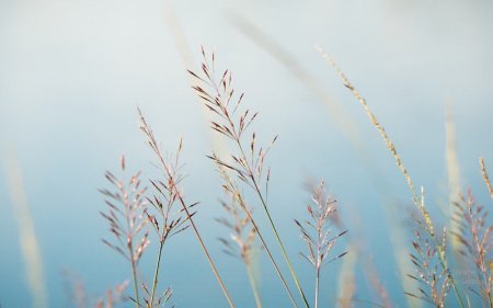 عکس طبیعت مینیمال