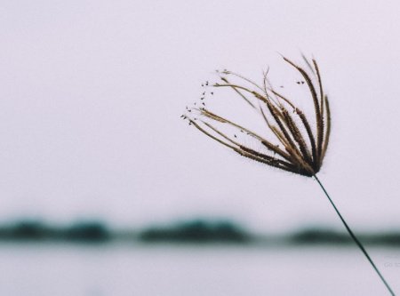  عکس طبیعت مینیمال