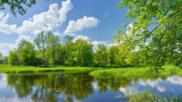 عکس طبیعت با کیفیت بالا برای پروفایل
