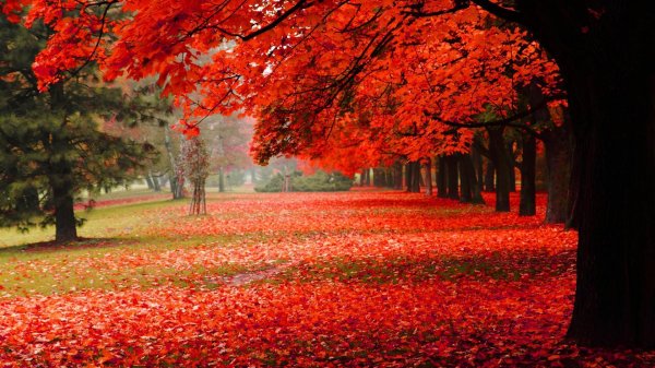 عکس طبیعت با کیفیت بالا برای پروفایل