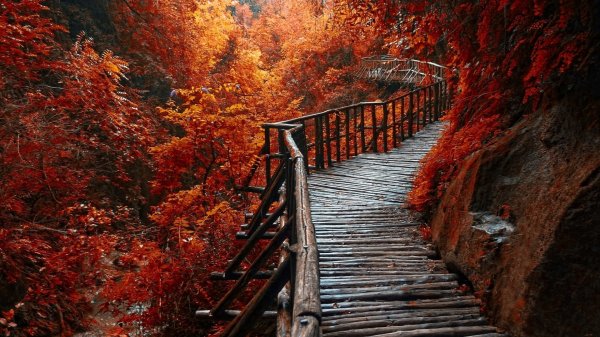 عکس طبیعت با کیفیت بالا برای پروفایل