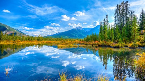 عکس طبیعت با کیفیت بالا برای پروفایل
