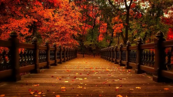 عکس طبیعت با کیفیت بالا برای پروفایل