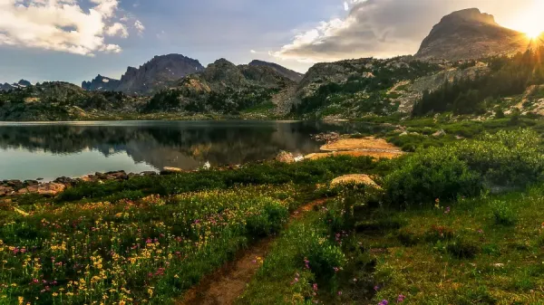  دانلود عکس تابلو با کیفیت بالا
