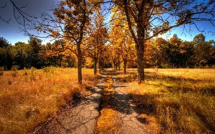  دانلود رایگان عکس برای تابلو دکوراتیو
