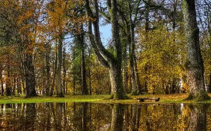  دانلود رایگان عکس برای تابلو دکوراتیو