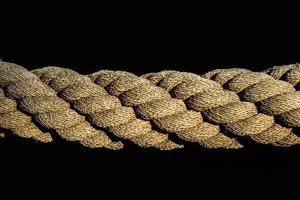  دانلود رایگان عکس برای تابلو دکوراتیو