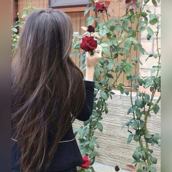  عکس پروفایل دخترونه با کیفیت عالی