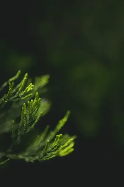  عکس مفهومی مدرن
