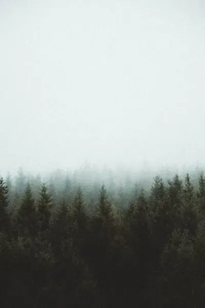  عکس مفهومی مدرن