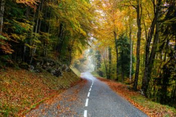 عکس گل و منظره زیبا برای پروفایل