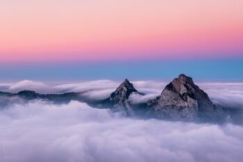 عکس گل و منظره زیبا برای پروفایل