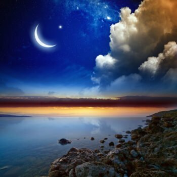 عکس گل و منظره زیبا برای پروفایل