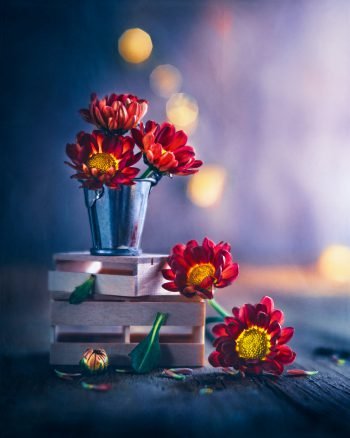عکس گل و منظره زیبا برای پروفایل