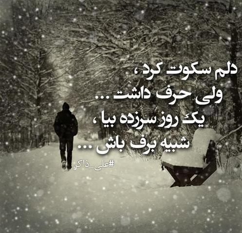  عکس سکوت را رعایت کنید