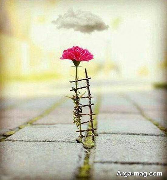  عکس احساسی هنری