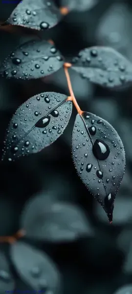  عکس هنری تیره برای والپیپر گوشی
