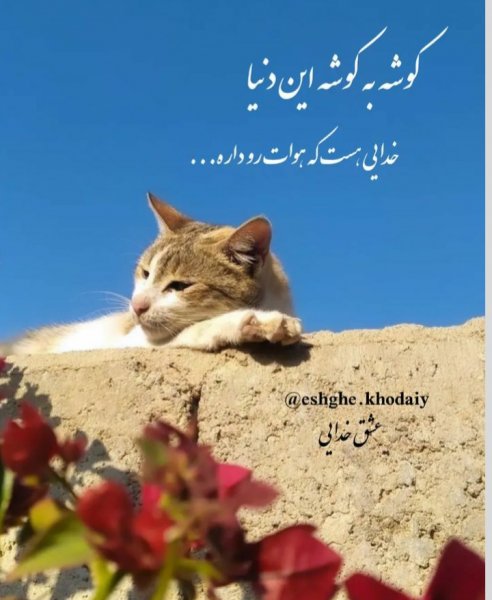 پروفایل خدا جدید اینستاگرام