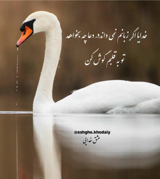 پروفایل خدا جدید اینستاگرام