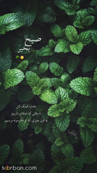 ایده استوری برای روز جمعه