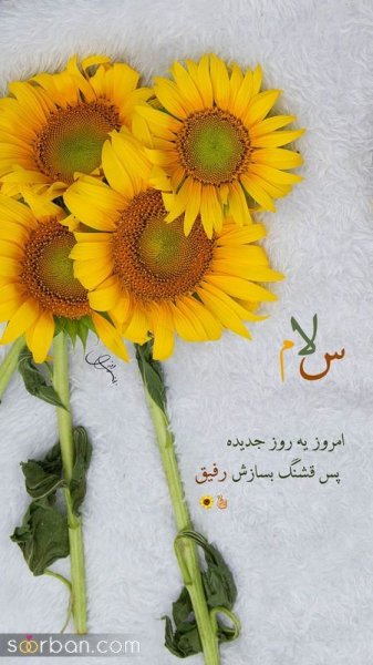 ایده استوری برای روز جمعه