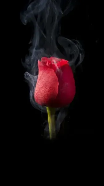  عکس هنری سیاه و سفید برای والپیپر گوشی