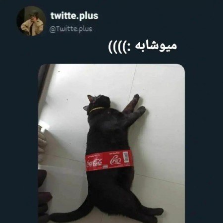  پروفایل بازیگری دخترانه