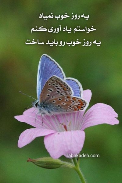  عکس پروفایل الهام‌بخش