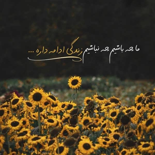 عکس پروفایل با حس خوب