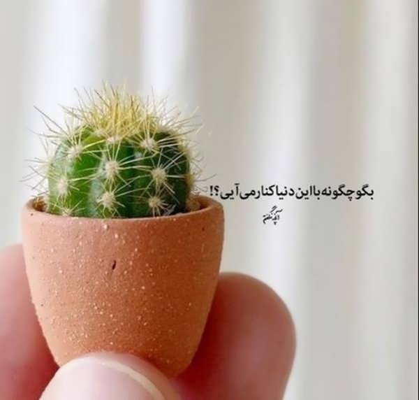 عکس پروفایل با حس خوب