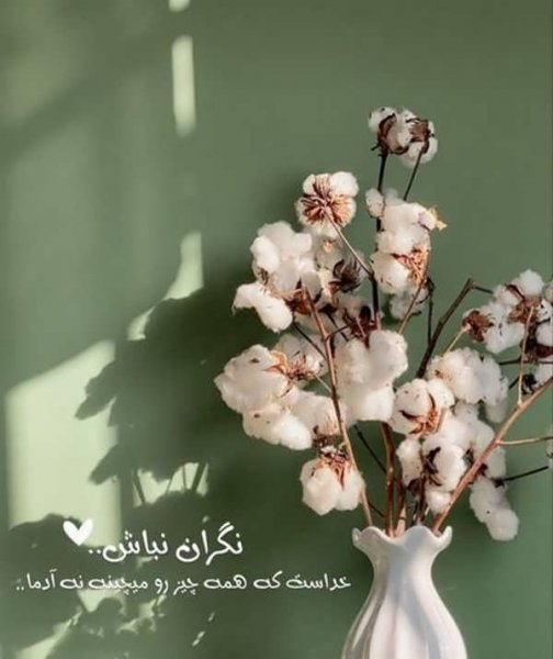 عکس پروفایل با حس خوب