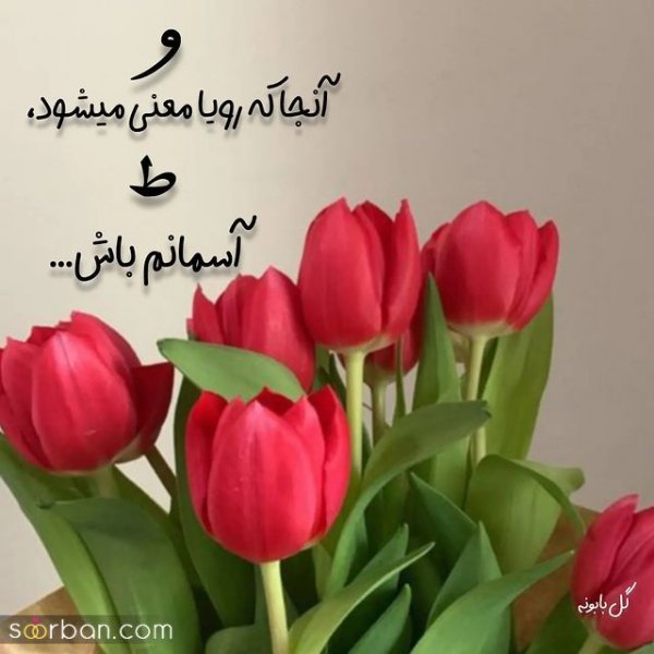 عکس پروفایل عاشقانه دونفره لب بدون متن