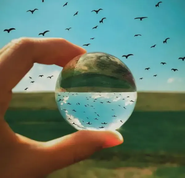 عکس پروفایل برای نقاش ها
