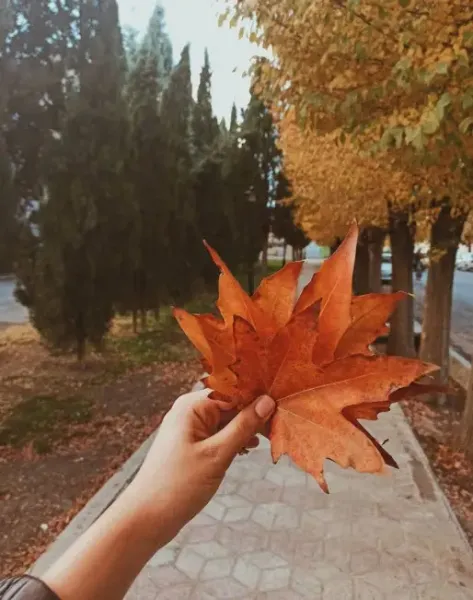 عکس پروفایل برای نقاش ها