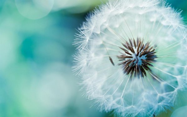  بک گراند ساده و شیک پسرانه برای کامپیوتر
